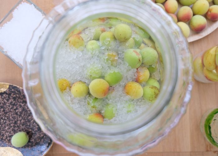 A jar with Japanese plums and rock sugar - making Umeshu